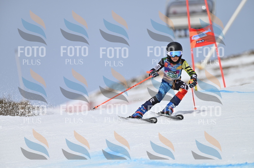 BGV_4703 | holidayphoto