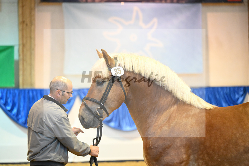 Kat-Nr. 35 Edwin II_Landgestuet Celle_53221191 | hf-fotografie - Realizzato con Pictrs.com