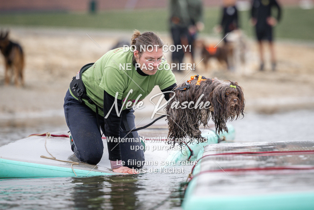 nelerasche_Hulsbeek_Sa1030-1100_449 | nelerasche