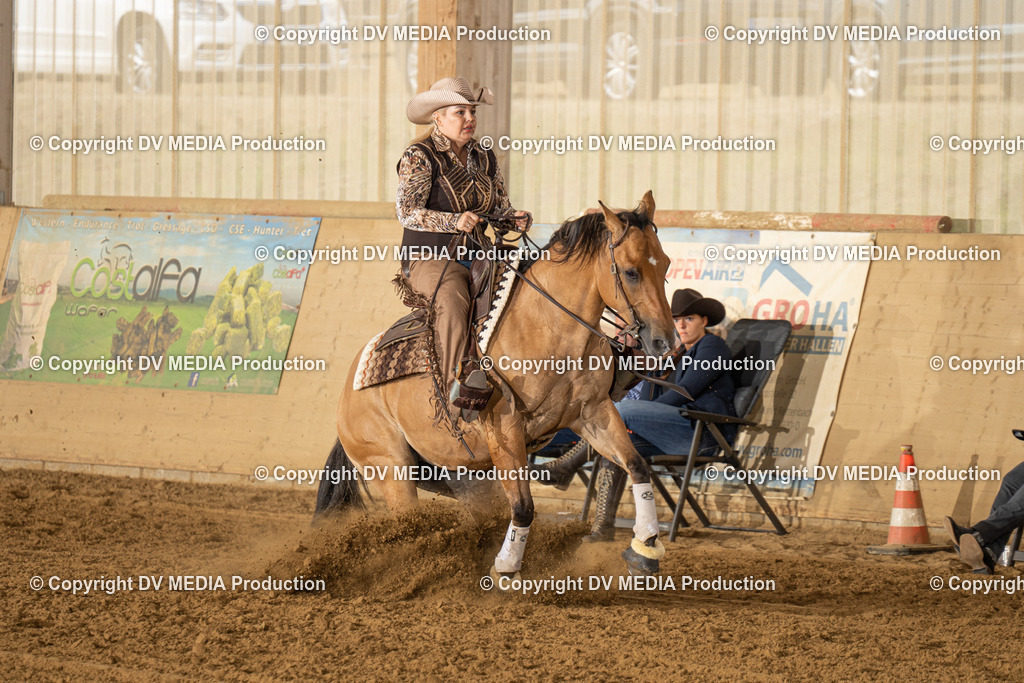 LAU01508 | dv-media-shop - Realisiert mit Pictrs.com