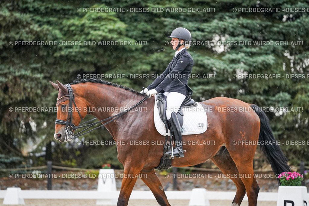 DSC09811 | Pferdegrafie