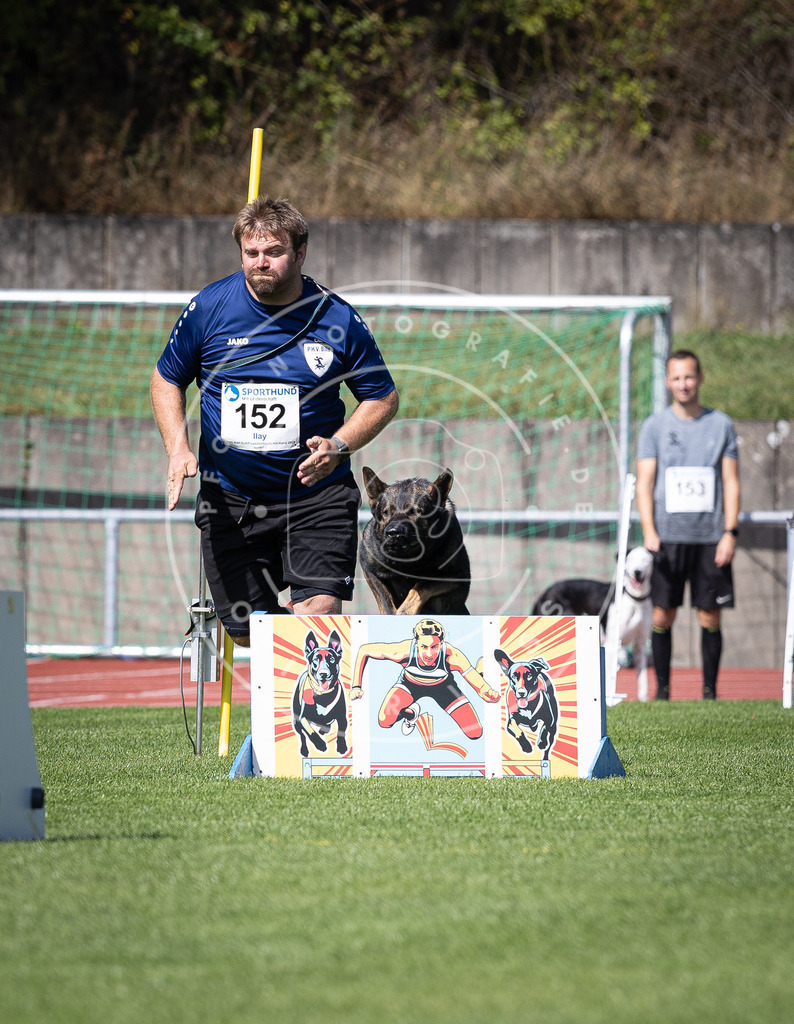 Pfotenfotografie_DV3A9398 | Hundefotografie, Tierfotograf, Pfotenfotografie, Fotoshooting Hund, Hunde Portrait, Hundesport, Hundeportraits, Heideshooting, Hunde, Sportfotograf, Hundefotograf, Turnierhundsport, THS,  - Realisiert mit Pictrs.com