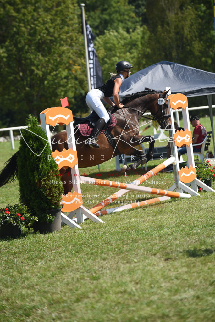 DSC_0148 | Pferde- und Turnierfotografie in Westsachsen. Pferdeportraits, Auftragszeichnungen und intuitive Kunst.