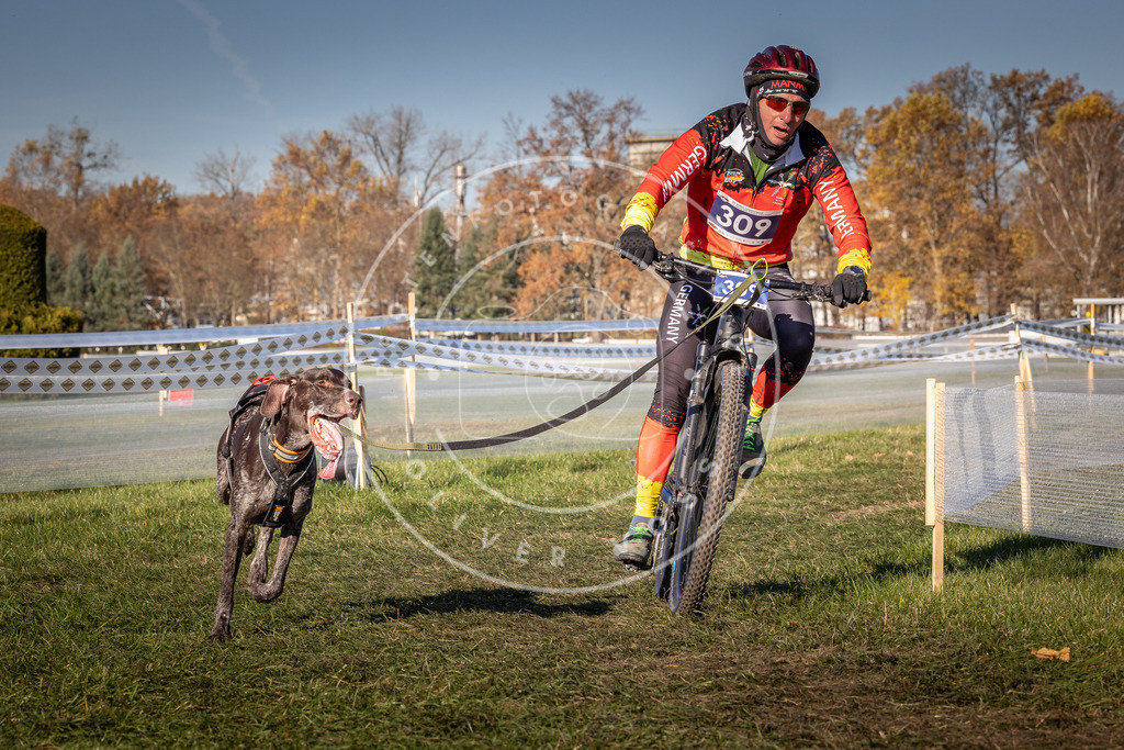 CaniXpix_0L8A5547 | Hundefotografie, Tierfotograf, Pfotenfotografie, Fotoshooting Hund, Hunde Portrait, Hundesport, Hundeportraits, Heideshooting, Hunde, Sportfotograf, Hundefotograf, Turnierhundsport, THS,  - Realisiert mit Pictrs.com