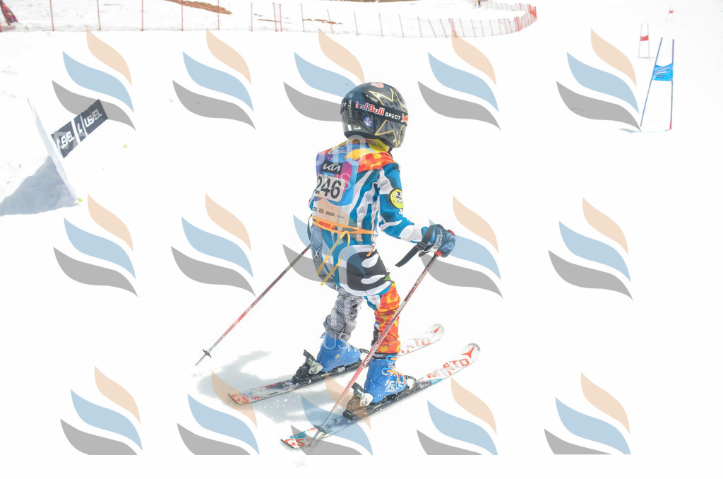 _ELE7496 | holidayphoto