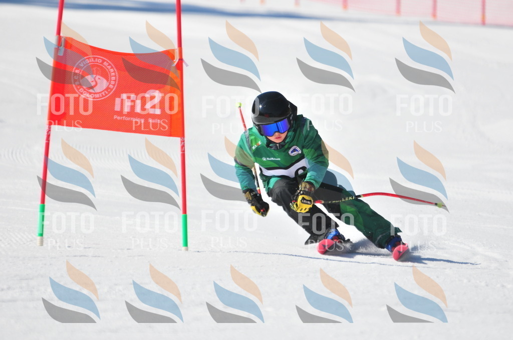 C3180 | holidayphoto