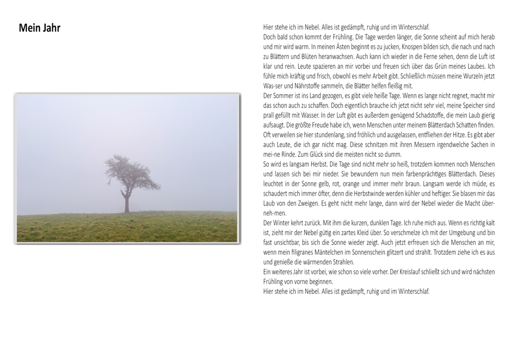 Kalender Mein Jahr | Die schönsten Bilder für Ihre Räume online bestellen! In unseren Bildergalerien findet Sie alles was es für Ihre Räume braucht. Lassen Sie sich überraschen ☺️ - Realisiert mit Pictrs.com