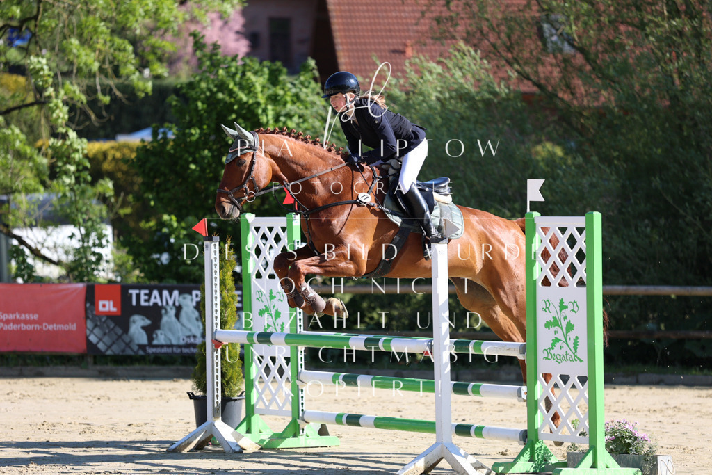 IMGS6173 | pl-fotografie