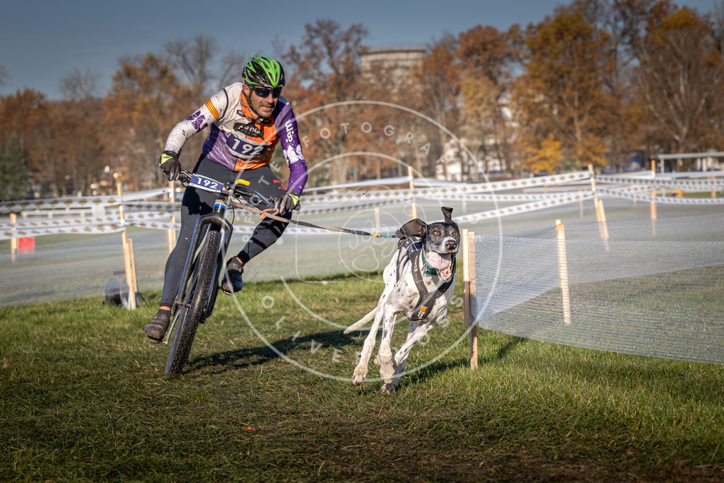 CaniXpix_0L8A4345 | Hundefotografie, Tierfotograf, Pfotenfotografie, Fotoshooting Hund, Hunde Portrait, Hundesport, Hundeportraits, Heideshooting, Hunde, Sportfotograf, Hundefotograf, Turnierhundsport, THS,  - Realisiert mit Pictrs.com