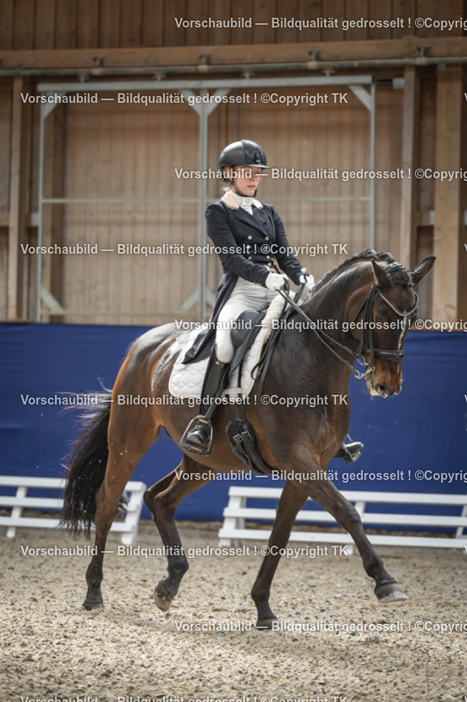 _D5A0482 | Emotionale Pferde- & People-Fotografie rund um Heidelberg, Leimen & Umgebung. Natürliche Fotos von Pferd, Mensch & Familie. Jetzt Termin sichern!