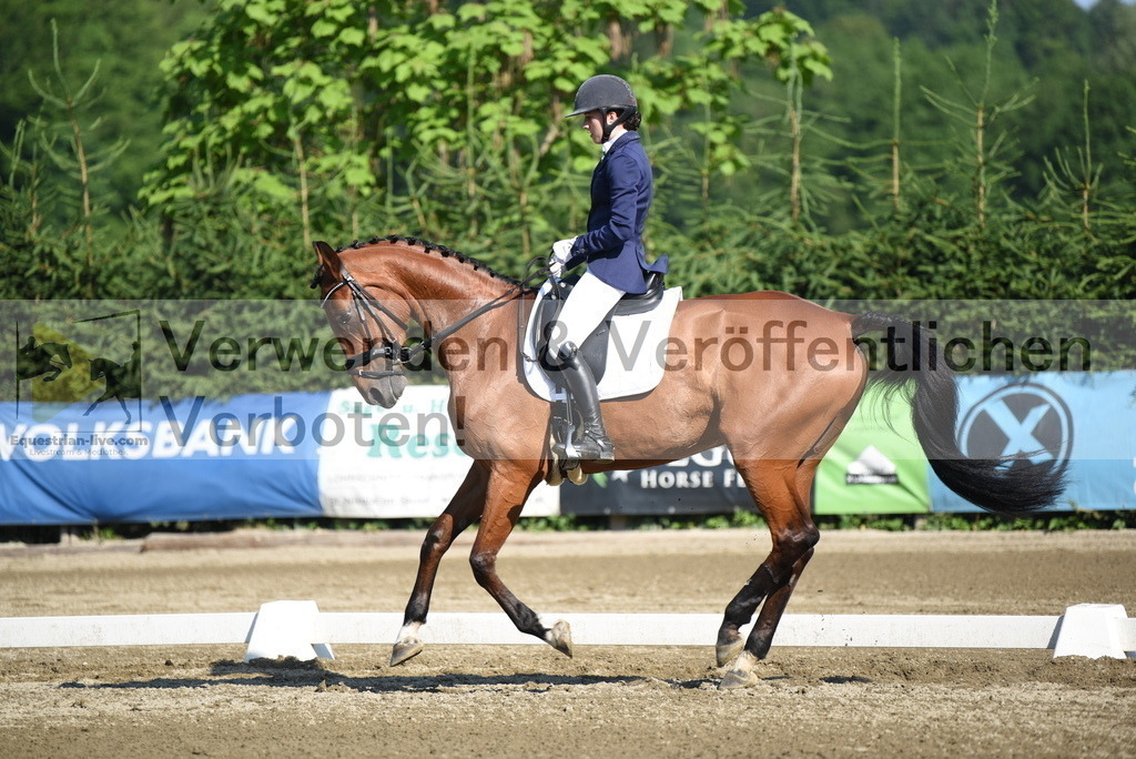 DSC_7195 | equestrian-live-com