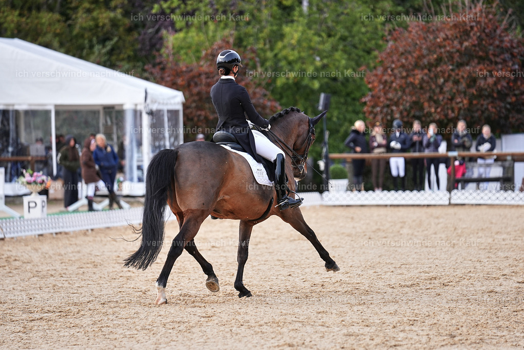 13-186-S___ -Marixx-7085 | working equitationturnier fotograf videograf stoibphotography marixx film working equitation deutschland reitsport turnierfotografie eventfotografie equestrian events