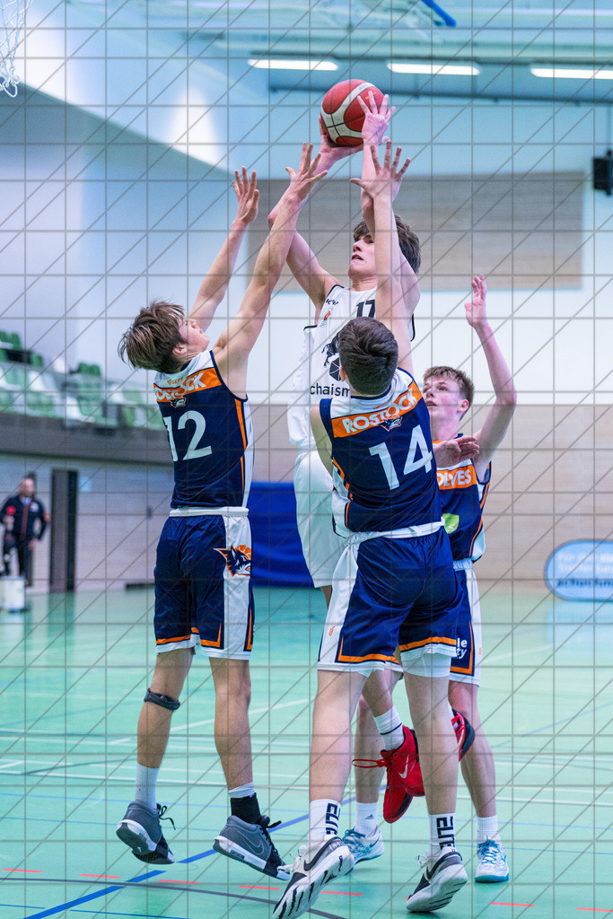 JBBL 24/25 | 19.01.2025 | Charisma Young Bulls vs. Rostock Seawolves | JBBL 24/25 | 19.01.2025 | Charisma Young Bulls vs. Rostock Seawolves - - - - - CREDIT, www.bullenfotos.de, Martin König, Hörner Weg 40, D-49078 Osnabrück, +4917663732967, Nutzung und Weitergabe nur zu den vereinbarten Zwecken. Presseanfragen an Urheber. Alle Rechte beim Urheber. - - - - - - Realisiert mit Pictrs.com
