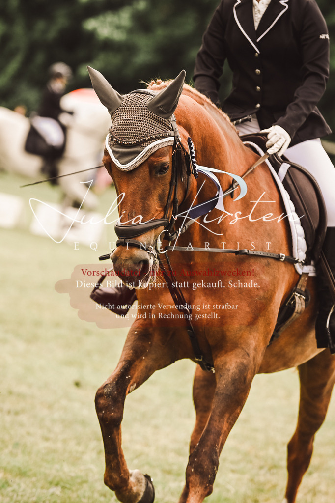 DSC_5172 | Pferde- und Turnierfotografie in Westsachsen. Pferdeportraits, Auftragszeichnungen und intuitive Kunst.