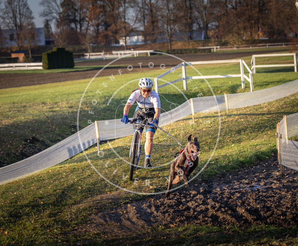 CaniXpix_DV3A0307 | Hundefotografie, Tierfotograf, Pfotenfotografie, Fotoshooting Hund, Hunde Portrait, Hundesport, Hundeportraits, Heideshooting, Hunde, Sportfotograf, Hundefotograf, Turnierhundsport, THS,  - Realisiert mit Pictrs.com