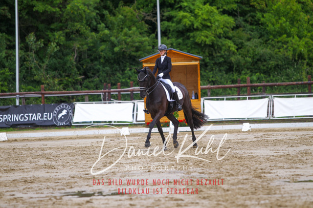 DKP46980 | Turniersportfotografie; Pferdefotografie; Dressurfotografie