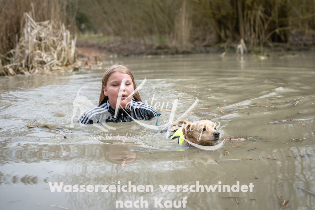 1455_ZZ91190 | kk-dogfotos