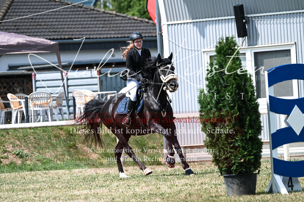 DSC_9134 | Pferde- und Turnierfotografie in Westsachsen. Pferdeportraits, Auftragszeichnungen und intuitive Kunst.