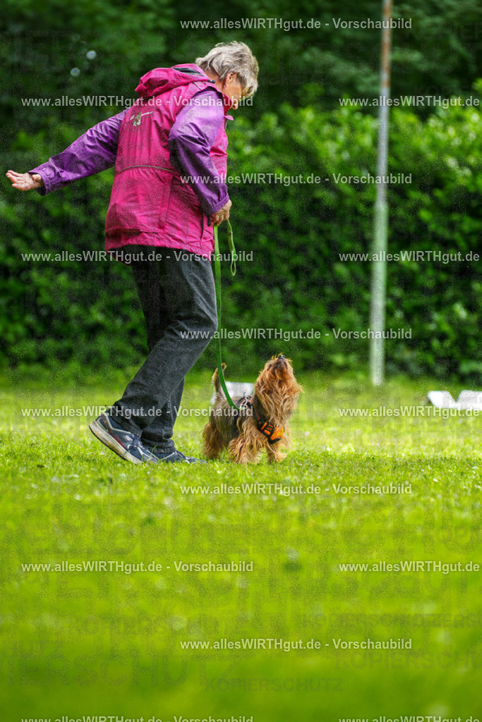 @allesWIRTHgut_Tierfotografie - www.allesWIRTHgut.de - 122129-7R508883 | Professionelle Tierfotografie in Mönchengladbach von Daniel Wirth (allesWIRTHgut). Liebevolle & natürliche Bilder von Hunden & Katzen für unvergessliche Erinnerungen.