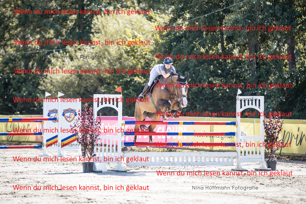 BK1A6756 | Turnierbilder Turnierfotos Nina Hüffmann Turnierfotografie Pferdefotografie Tierzeichnung Haustierzeichnung Pferdezeichnung Hundezeichnung Videograf  - Realisiert mit Pictrs.com