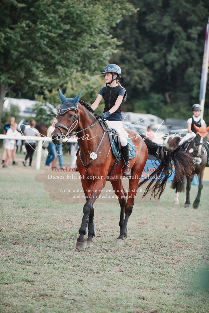 DSC_5658 | Pferde- und Turnierfotografie in Westsachsen. Pferdeportraits, Auftragszeichnungen und intuitive Kunst.