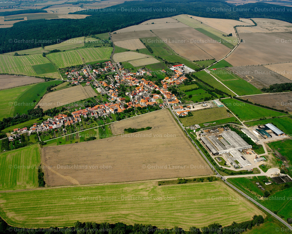 2589351 | Beberstedt, Dünwald