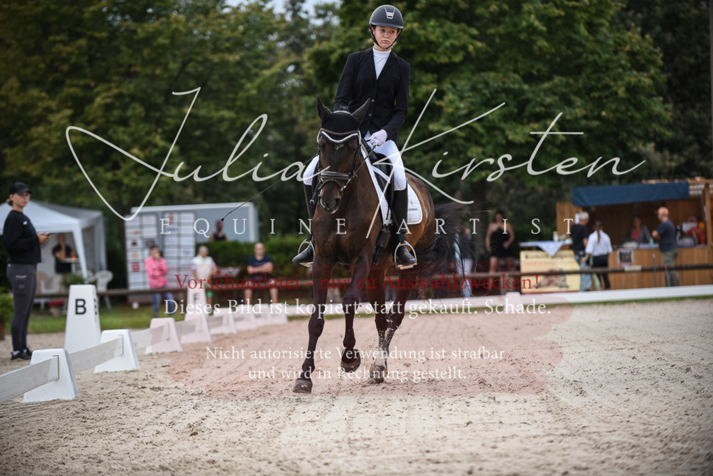 DSC_7934 | Pferde- und Turnierfotografie in Westsachsen. Pferdeportraits, Auftragszeichnungen und intuitive Kunst.