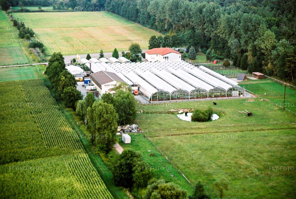 Luftbild: Baumschule in den Dorfwiesen in Freckenfeld im Bundesland Rheinland-Pfalz in Deutschland. Foto: NEG564528.jpg vom 15.10.2005 durch Werner Riehm/FLY-FOTO.de