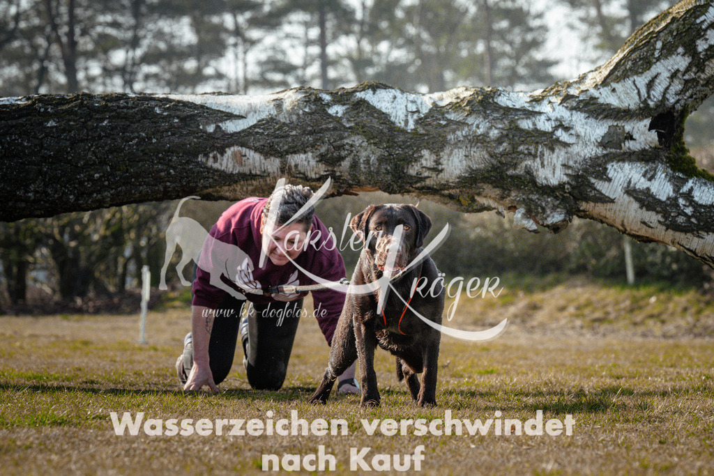 1004_ZZ90887 | kk-dogfotos