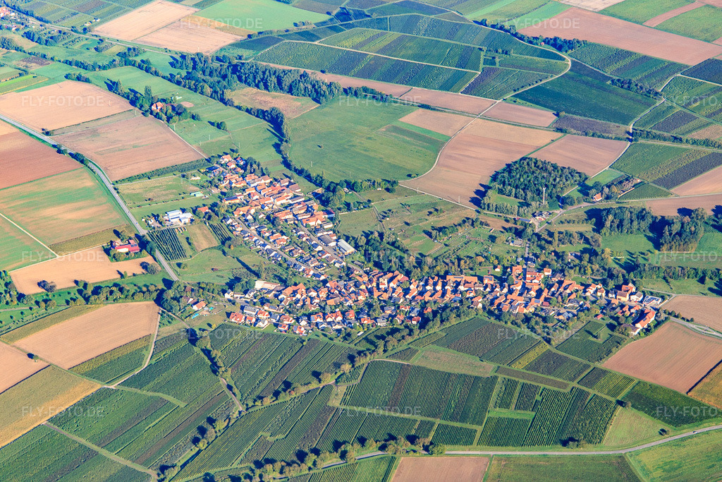 Luftbild: Ortsansicht von Süden in Oberhausen im Bundesland Rheinland-Pfalz in Deutschland. Foto: IMG_143484.jpg vom 29.09.2024 durch Werner Riehm/FLY-FOTO.de