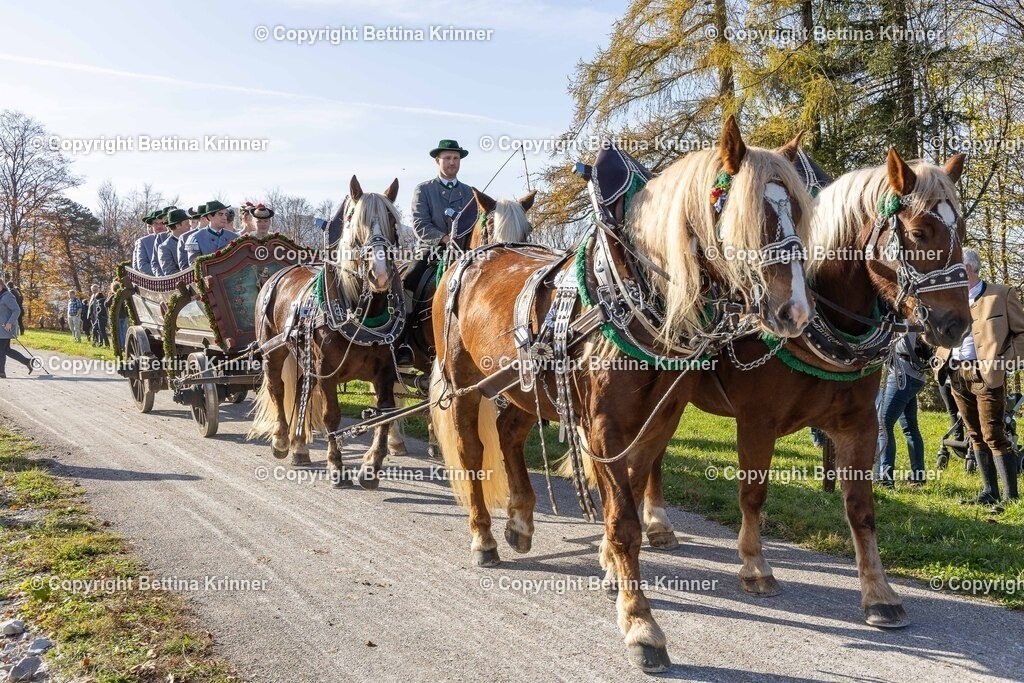 LBT24-1343 | foto-bettina-krinner - Realisiert mit Pictrs.com