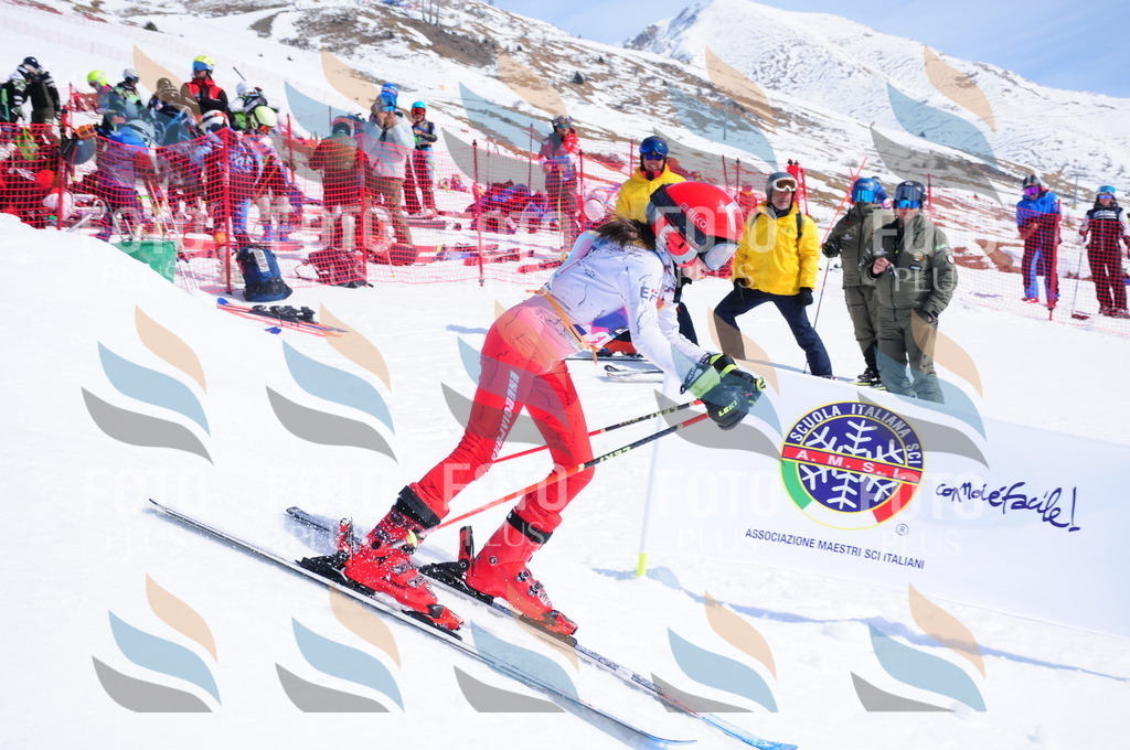 DSC_5274 | holidayphoto