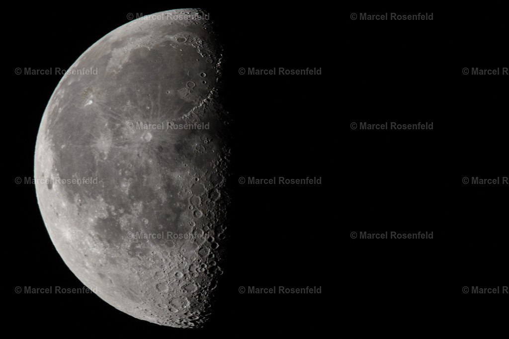 _DSC7579 | foto-rosenfeld