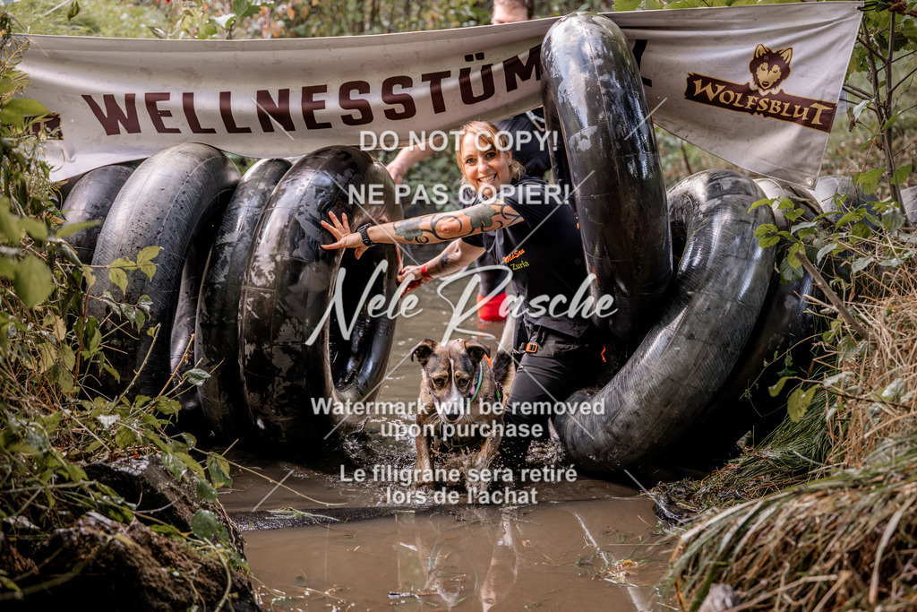 nelerasche_Hunsrück2026_Sa1400-1500_181 | nelerasche