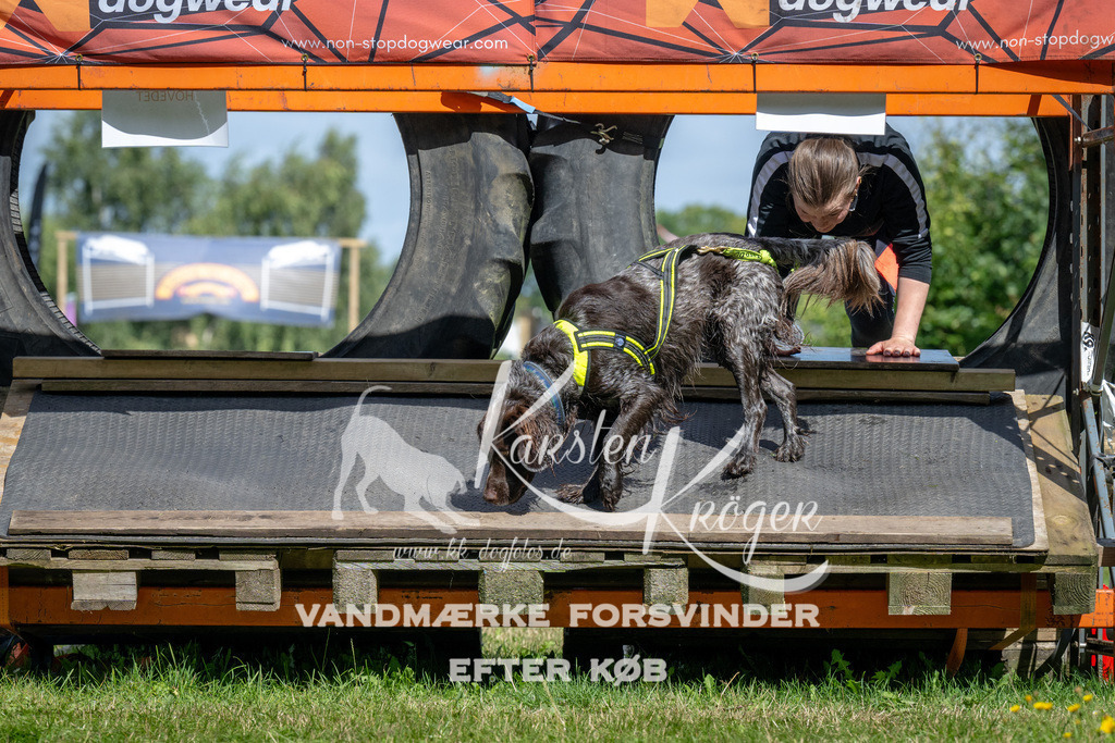 1200_ZZ93286 | kk-dogfotos