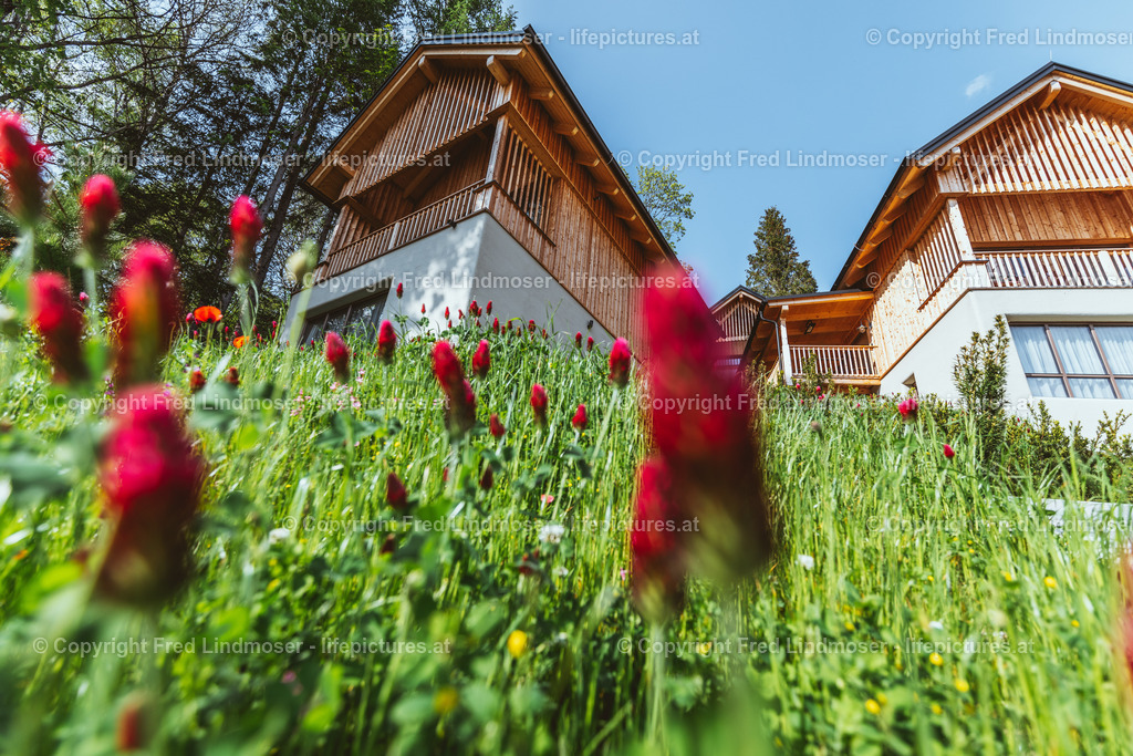 Montestyria 28052023-0325_Fred Lindmoser | Fotos und Fotoprodukte - Realisiert mit Pictrs.com