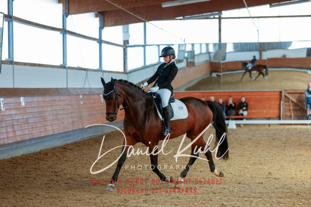 _62_6740 | Turniersportfotografie; Pferdefotografie; Dressurfotografie