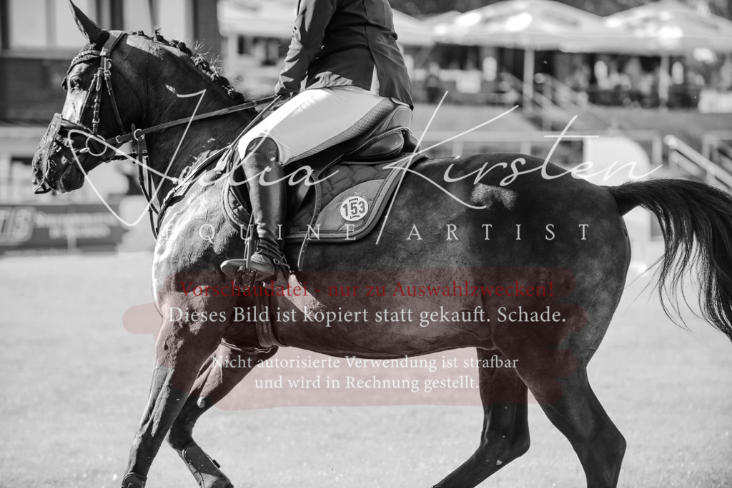 DSC_2269 | Pferde- und Turnierfotografie in Westsachsen. Pferdeportraits, Auftragszeichnungen und intuitive Kunst.