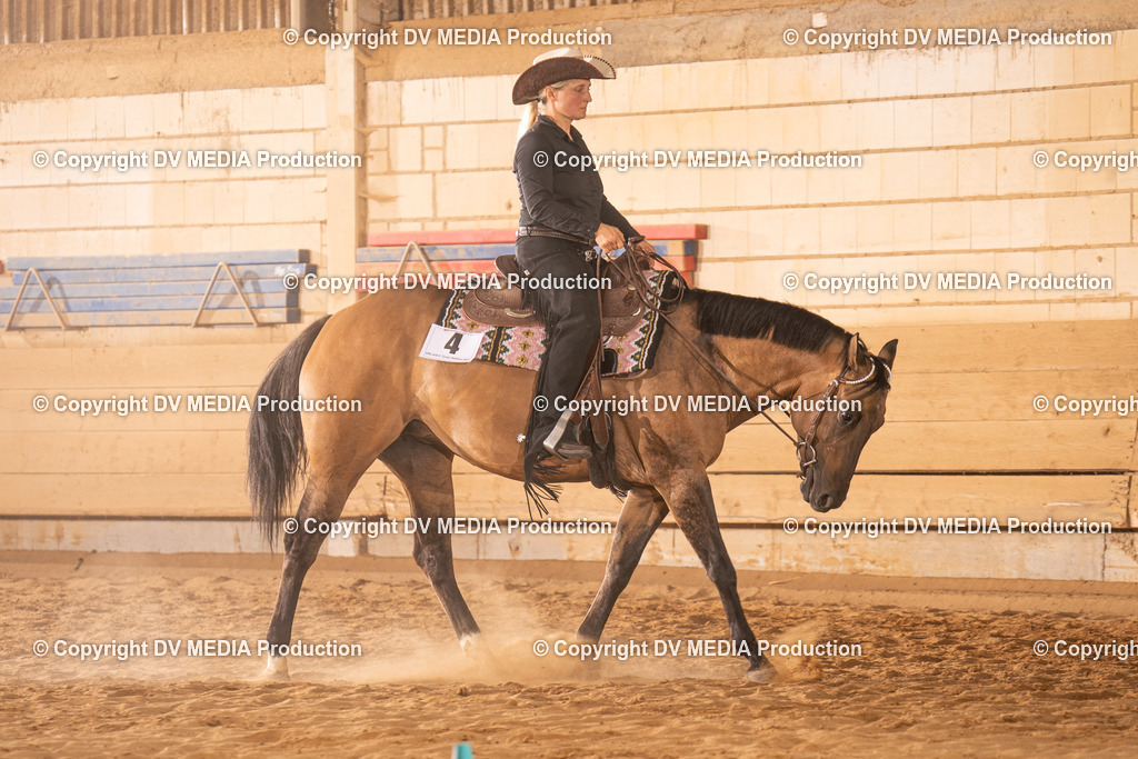 NID00800 | dv-media-shop - Realisiert mit Pictrs.com