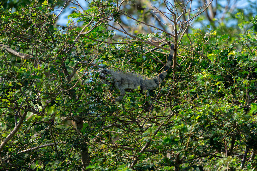 20251116-DeltaTour-0024 | paulependelt - Realisiert mit Pictrs.com