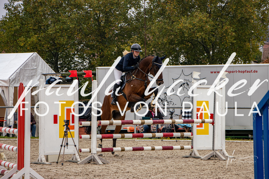 IMG_3251 | Erleben Sie dynamische Sport- und emotionale Tierfotografie in Süddeutschland mit Fotos von Paula. Spezialisiert auf Pferde- und Hundefotografie sowie Sportevents. Kontaktieren Sie mich für einzigartige und ausdrucksstarke Bilder Ihrer besonderen Momente. - Realisiert mit Pictrs.com