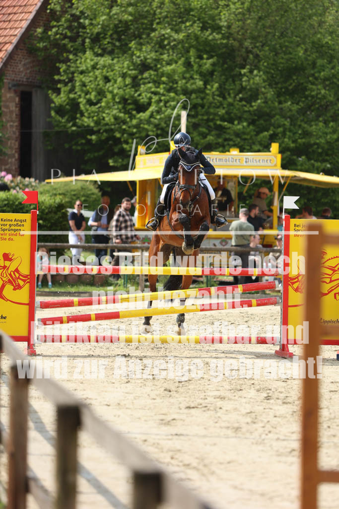 IMGM5784 | pl-fotografie