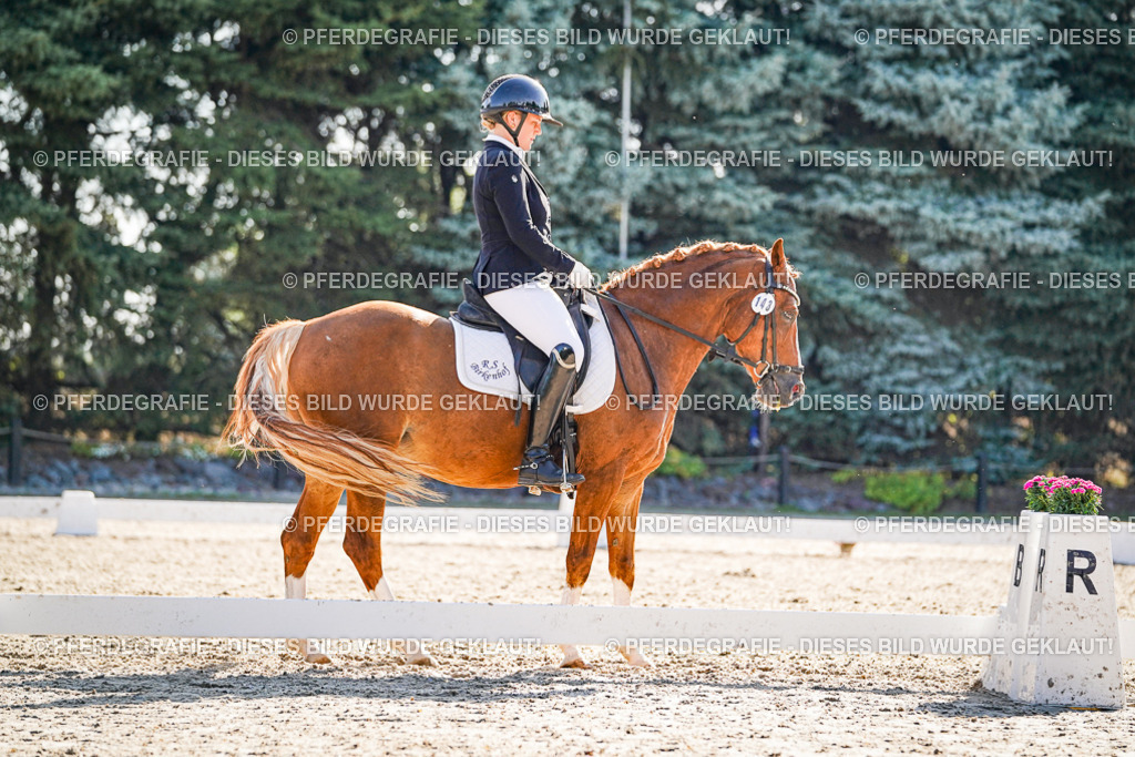 DSC09990 | Pferdegrafie