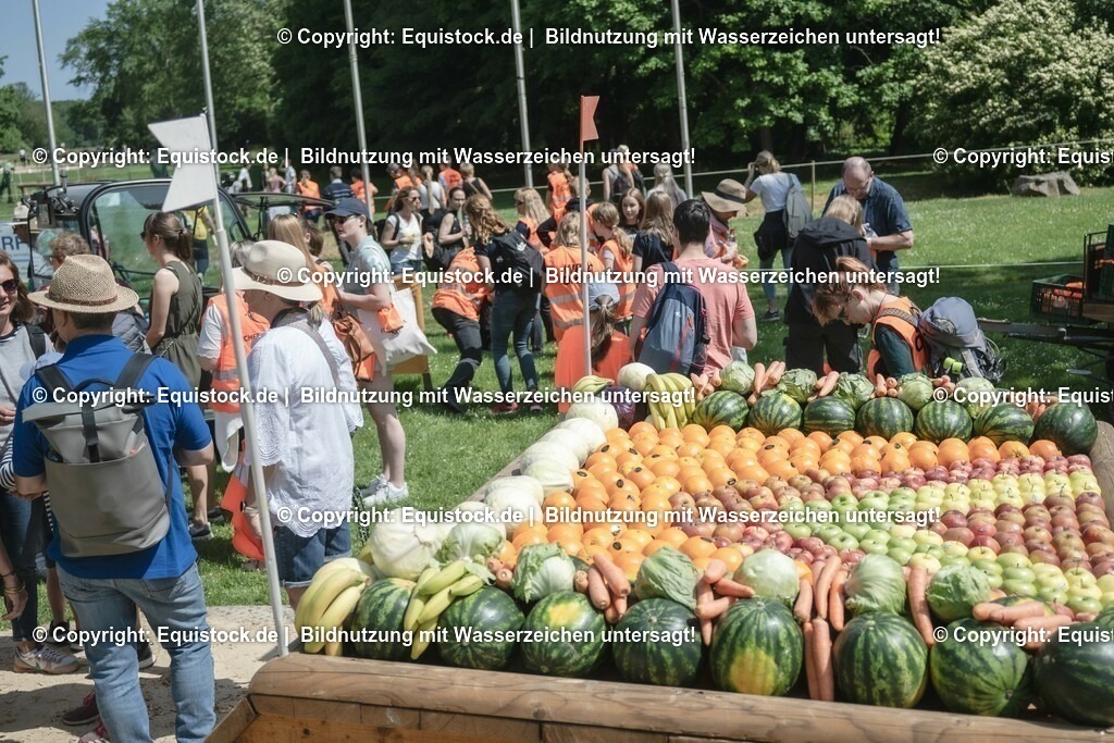 ZFC_3982 | equistock