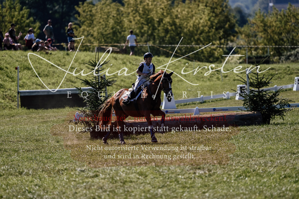 DSC_1898 | Pferde- und Turnierfotografie in Westsachsen. Pferdeportraits, Auftragszeichnungen und intuitive Kunst.