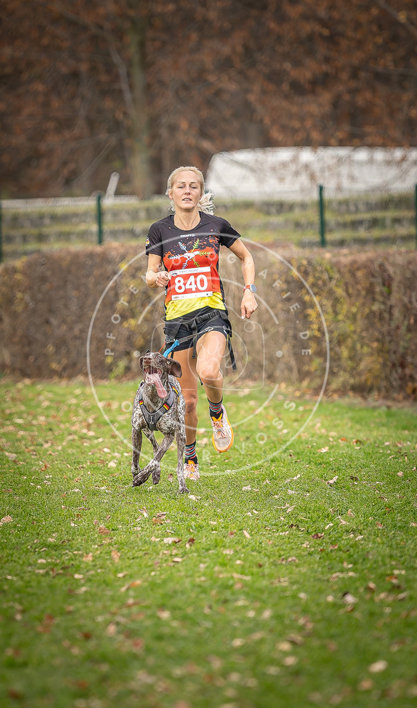 CaniXpix_DV3A6209 | Hundefotografie, Tierfotograf, Pfotenfotografie, Fotoshooting Hund, Hunde Portrait, Hundesport, Hundeportraits, Heideshooting, Hunde, Sportfotograf, Hundefotograf, Turnierhundsport, THS,  - Realisiert mit Pictrs.com