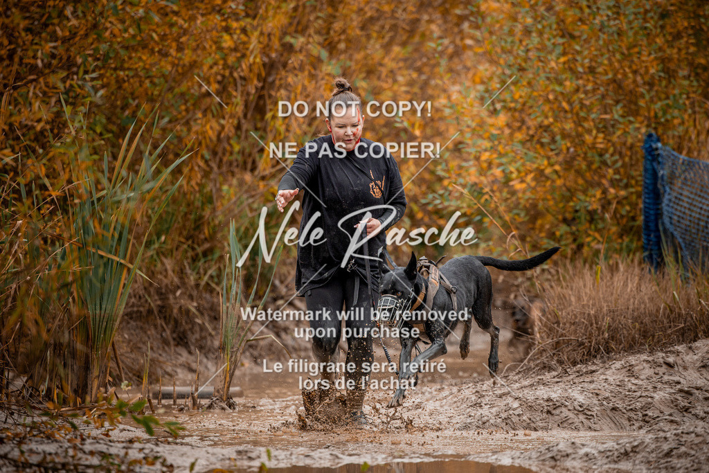 nelerasche_Creepy2025_Sa11-12_39 | nelerasche