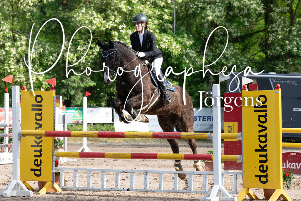 IMG_9058 | photographesa-joergens - Realisiert mit Pictrs.com