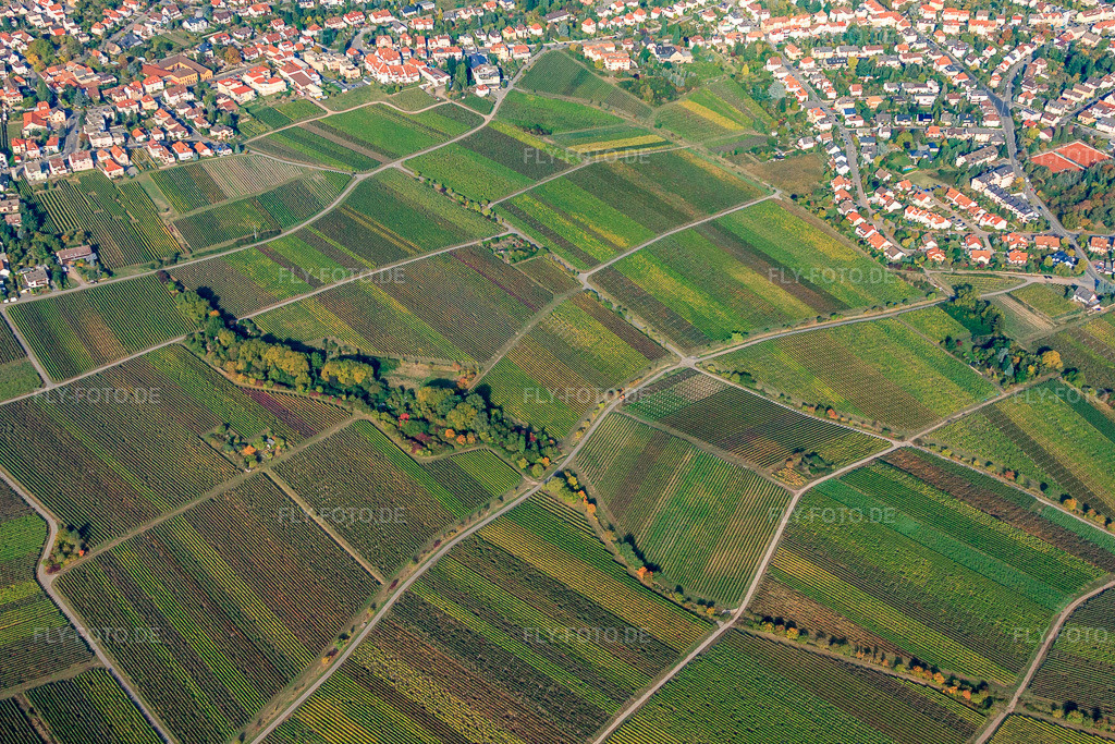 Luftbild: Kanzgraben im Ortsteil Hambach an der Weinstraße in Neustadt im Bundesland Rheinland-Pfalz in Deutschland. Foto: IMG_22089.jpg vom 15.10.2009 durch Werner Riehm/FLY-FOTO.de