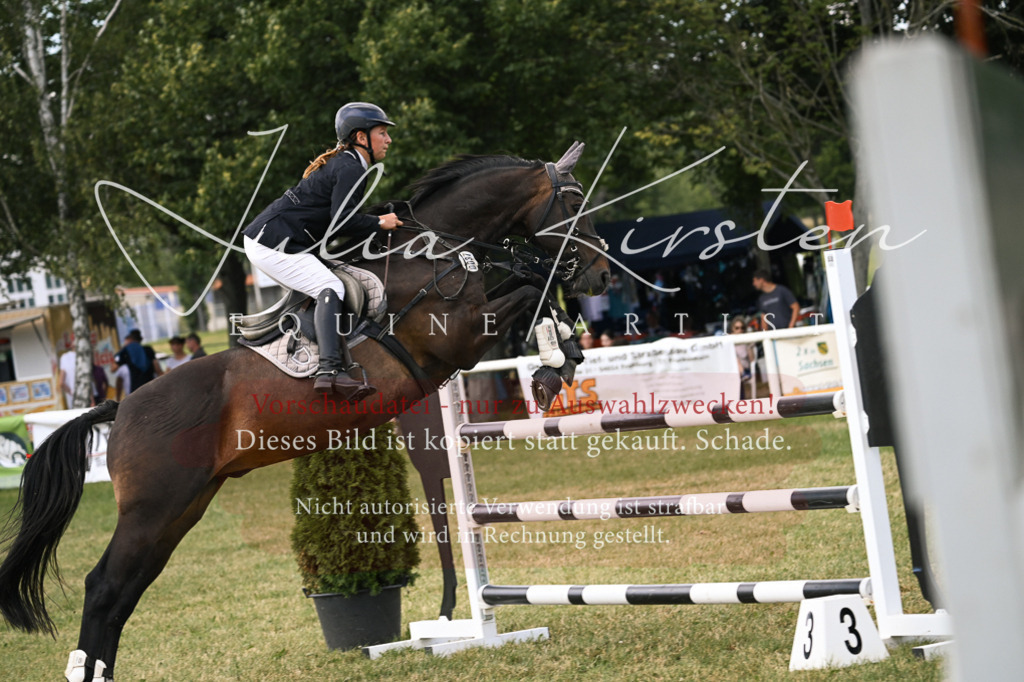 DSC_0870 | Pferde- und Turnierfotografie in Westsachsen. Pferdeportraits, Auftragszeichnungen und intuitive Kunst.